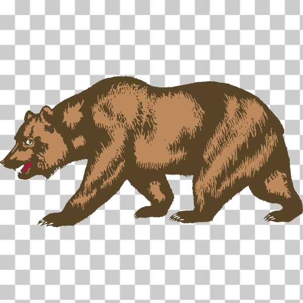 SVG Zoo bear vector image