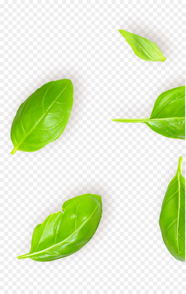 Thai cuisine Basil Pizza Greek cuisine Vietnamese cuisine - basil 