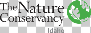 The Nature Conservancy Logo Vector