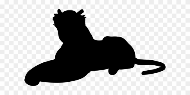 Tiger, Cat, Big Cat, Feral Cat, Nature - Cat