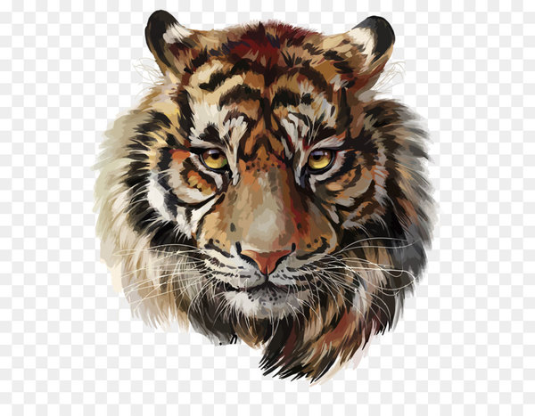 Tiger - Vector tiger