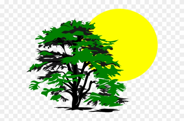 Tree And Sun Clip Art