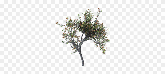 Tree - Tree