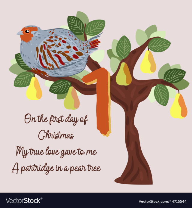 twelve days og christmas first day partridge in