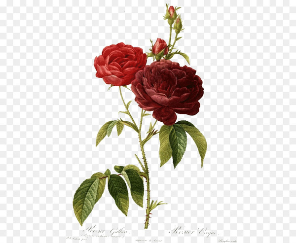 Valentine's Day Poetry Daughter Mother's Day - valentine's day
