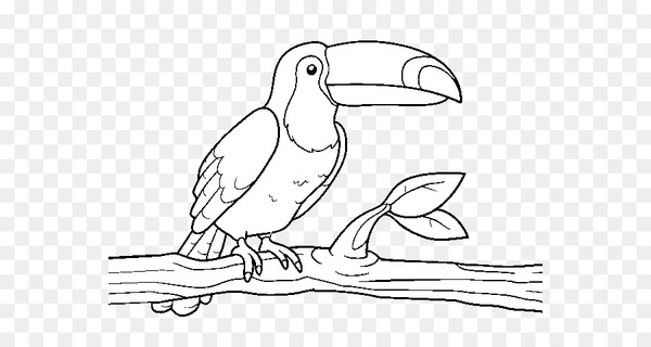 Vector graphics Stock photography Royalty-free Image Coloring book - tucan outline