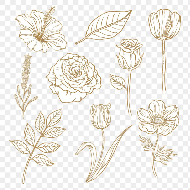 Vintage flower png clipart, brown | Free PNG - rawpixel