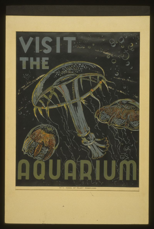 Visit the aquarium | Free Photo - rawpixel