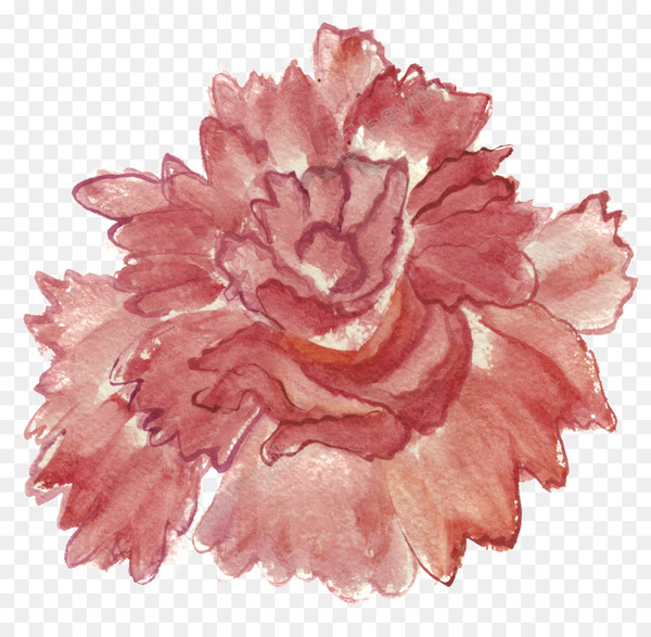 Watercolor: Flowers Watercolor painting Peony Rose - painting