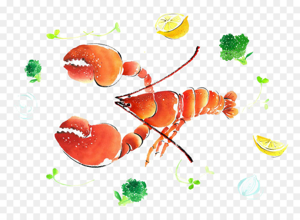 Watercolor painting Illustration - Lobster watercolor painting