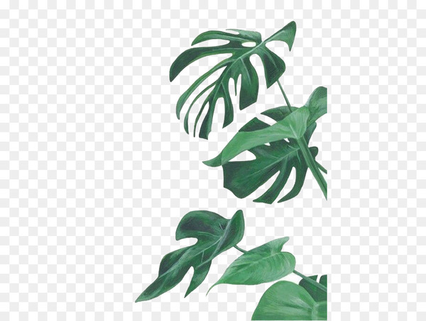 Watercolor painting Leaf Botanical illustration Botany Illustration - watercolor leaves