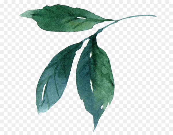 Watercolor painting Leaf - Watercolor leaves