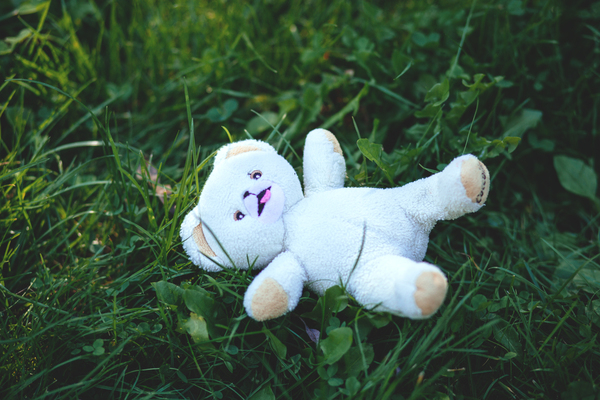 White Bear Plush Toy