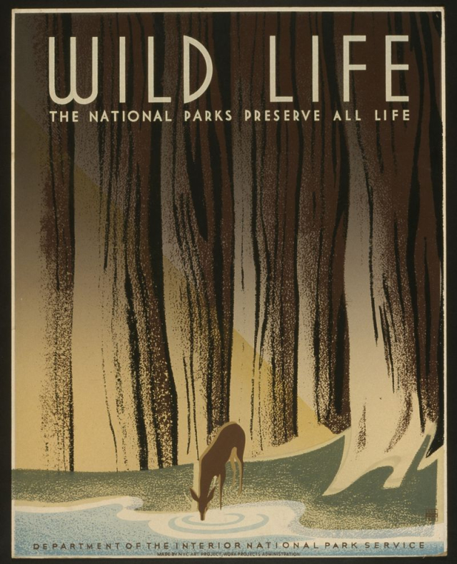Wild life The national parks | Free Photo - rawpixel
