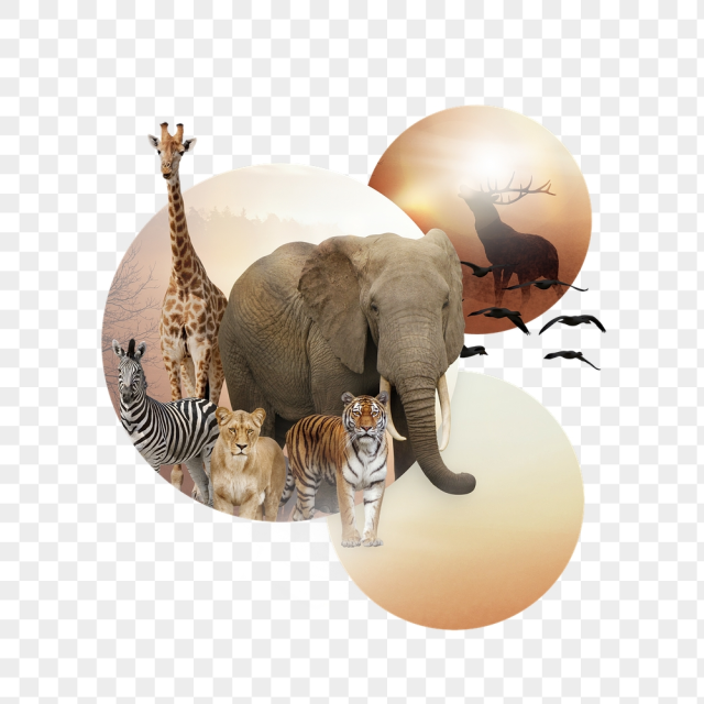 Wildlife extinction png, global warming | Free PNG - rawpixel