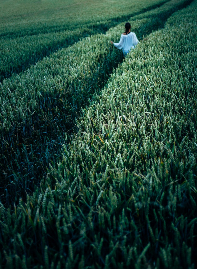 Woman walking through a field. | Free Photo - rawpixel