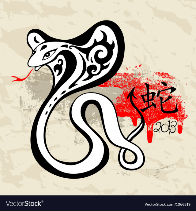 Year of the Snake 2013 vector image