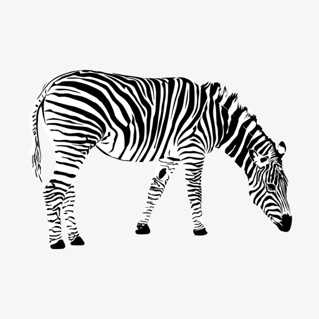 Zebra clipart, vintage animal illustration | Free Vector - rawpixel